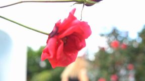 Domme dinners: Villa ft Goddex Devine, Lua Snow and Lucky Lucas