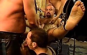 Cbt orgy with five bears and otters.