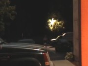 Trolling Tranny