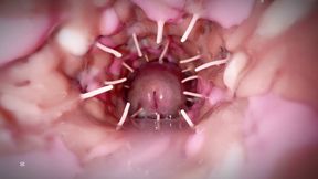 Her spiky vagina made my old dick cum like a fire hose