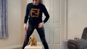 Pet toy crush HD