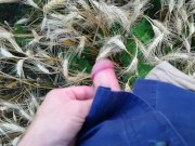 Farmer shows his dirty rubber boots and pee huge in the wheat field