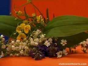 Redhead Gets a Surprise