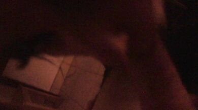 Sexy Ghost Girl Haunts my house and sucks my dick at 3am