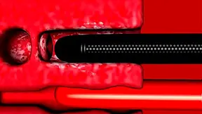 Miranda Commands Forbidden Pleasures in Hot Mass Effect Hentai Fantasy