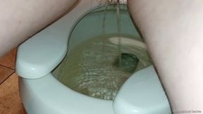 What Happens in the Ladies Room Part 7 HD