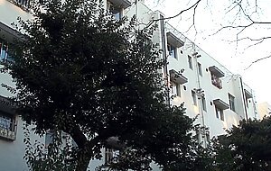 Meyd-134 [english subtitle] the sexually frustrated apartment wife and the impregnating