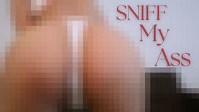 Sniff My Ass - Beta Version