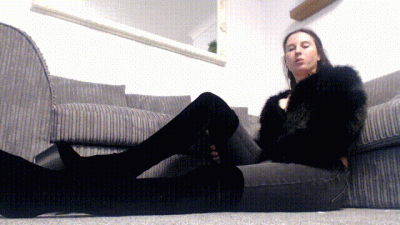 Domestic bitch