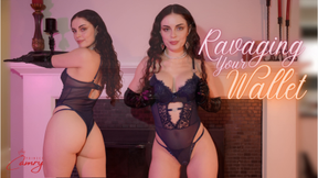 Ravaging Your Wallet