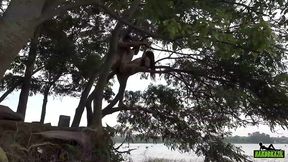 elisa sanches dando o cu em cima da arvore