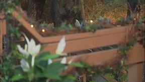 Her man is as devoted to her pleasure as she is to his