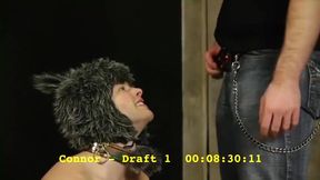 Puppy dog hard training