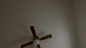 Moaning in the Night