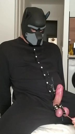 Spectacular moment from &quot;Estimasex doggy ruined&quot;