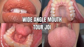Wide angle mouth tour JOI - OnlyVanessa
