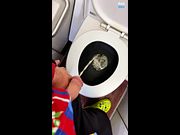Fasten Your Seatbelts! Pissing in the Airplane Toilet