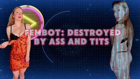 Ended by Fembot