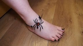 BBW feet worship #15