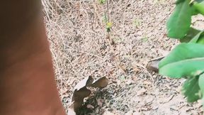 Indian Bhabhi Devar Homemade Sextape MMS monik