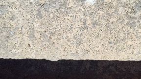 Tempest walks to check the mail