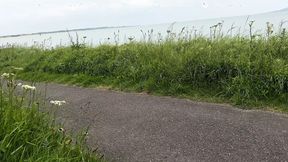 Started on a Bench, Ended at the Pier � No Regrets - Super risky public sloppy Handjob