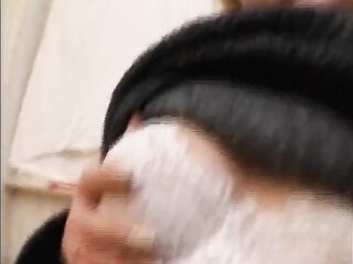 Sweet Sandra Renovating