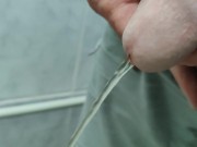 To pee on a public toilet 2