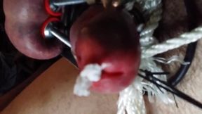 Stainless Tube CBT, Ball Clamps & Super Glue - Gay BDSM