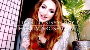 30 Days To Sissy Day 1: Panties (MP4 1080p)