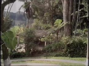 Busty shemale riding an horny slut in the garden