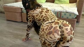 very hot!!! after the party, a beauty in a leopard bodysuit passionately fucks and sucks a dick