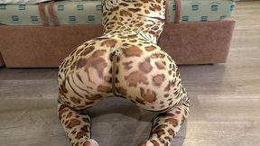 very hot!!! after the party, a beauty in a leopard bodysuit passionately fucks and sucks a dick