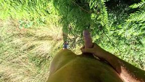 in a field and cumshot on plants, remi06cam4