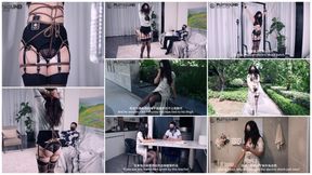 PlotBound- Training with Pain- Neighbor Teacher P3