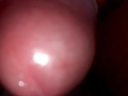 mama na minha mamadeira!