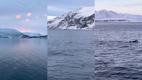 le lendemain debout a 6h alors que nous nous etions couches a 2h30 pour ...