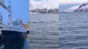 le lendemain debout a 6h alors que nous nous etions couches a 2h30 pour ...