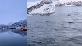 le lendemain debout a 6h alors que nous nous etions couches a 2h30 pour ...