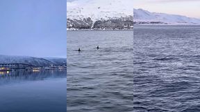 le lendemain debout a 6h alors que nous nous etions couches a 2h30 pour ...