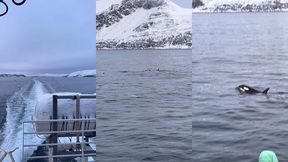 le lendemain debout a 6h alors que nous nous etions couches a 2h30 pour ...