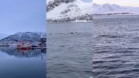 le lendemain debout a 6h alors que nous nous etions couches a 2h30 pour ...