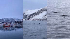 le lendemain debout a 6h alors que nous nous etions couches a 2h30 pour ...