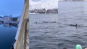 le lendemain debout a 6h alors que nous nous etions couches a 2h30 pour ...