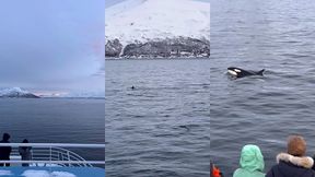 le lendemain debout a 6h alors que nous nous etions couches a 2h30 pour ...