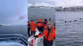 le lendemain debout a 6h alors que nous nous etions couches a 2h30 pour ...