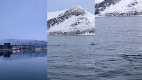 le lendemain debout a 6h alors que nous nous etions couches a 2h30 pour ...