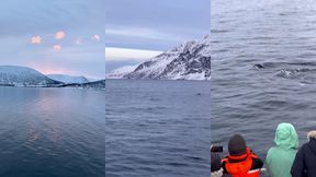 le lendemain debout a 6h alors que nous nous etions couches a 2h30 pour ...