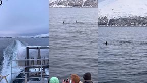 le lendemain debout a 6h alors que nous nous etions couches a 2h30 pour ...