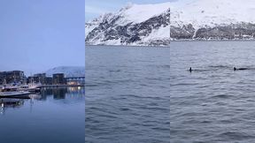 le lendemain debout a 6h alors que nous nous etions couches a 2h30 pour ...